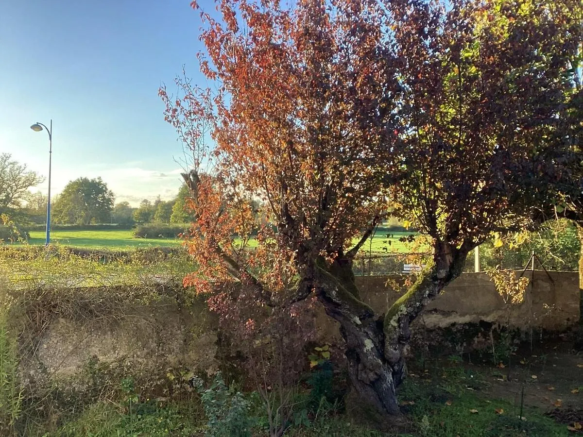Charming Holiday Home With Private Garden Le Veurdre 0*,  France